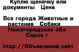 Куплю щенячку или документы › Цена ­ 3 000 - Все города Животные и растения » Собаки   . Нижегородская обл.,Саров г.